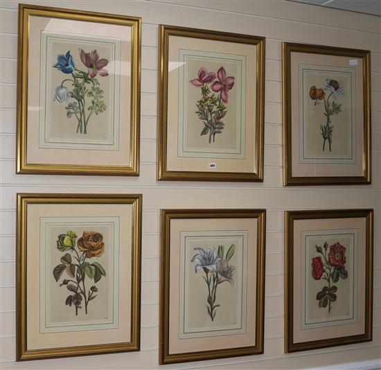 A set of six modern botanical prints, 41 x 27cm